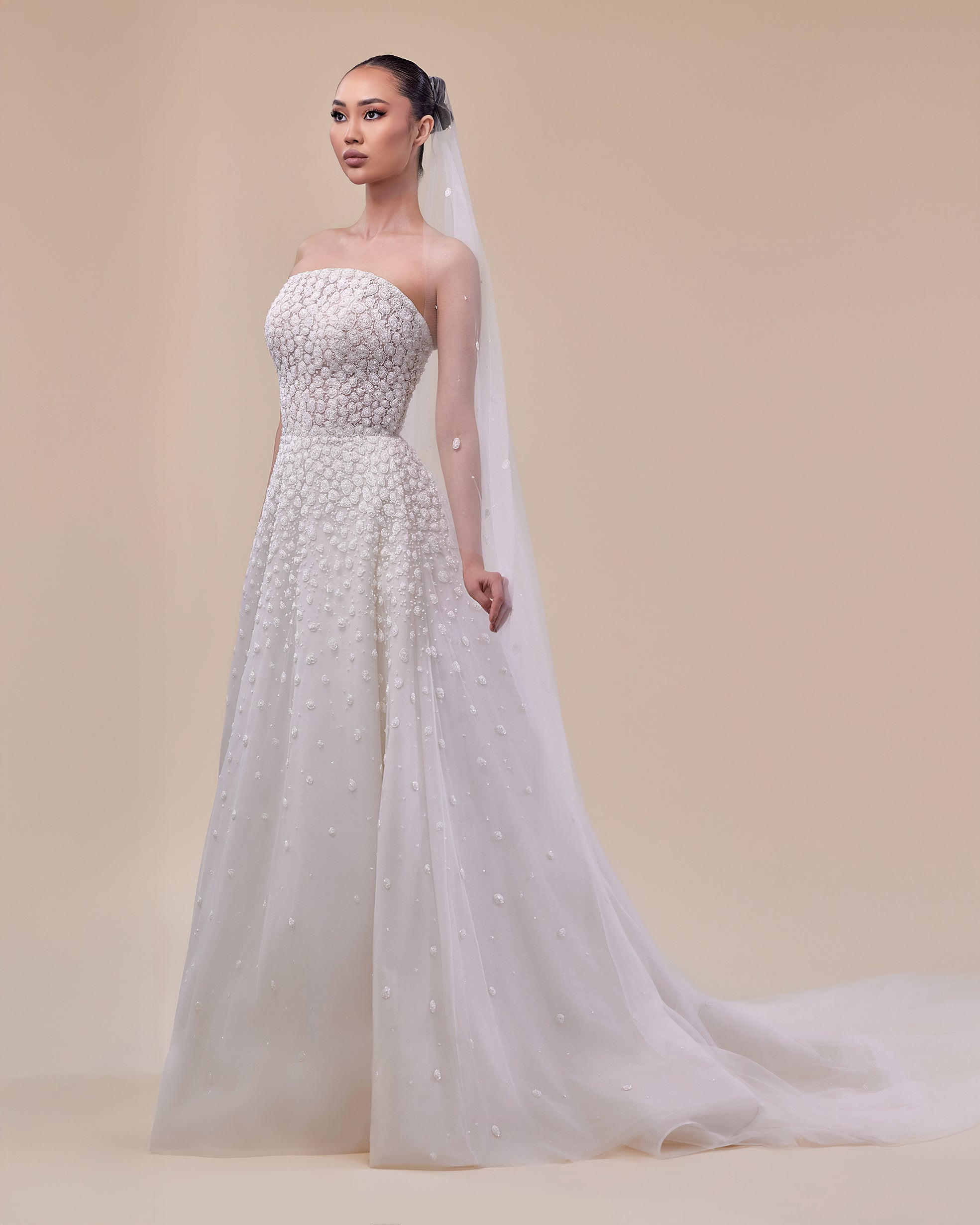 Strapless Tulle Princess cut Bridal Gown with Fading Embroidery
